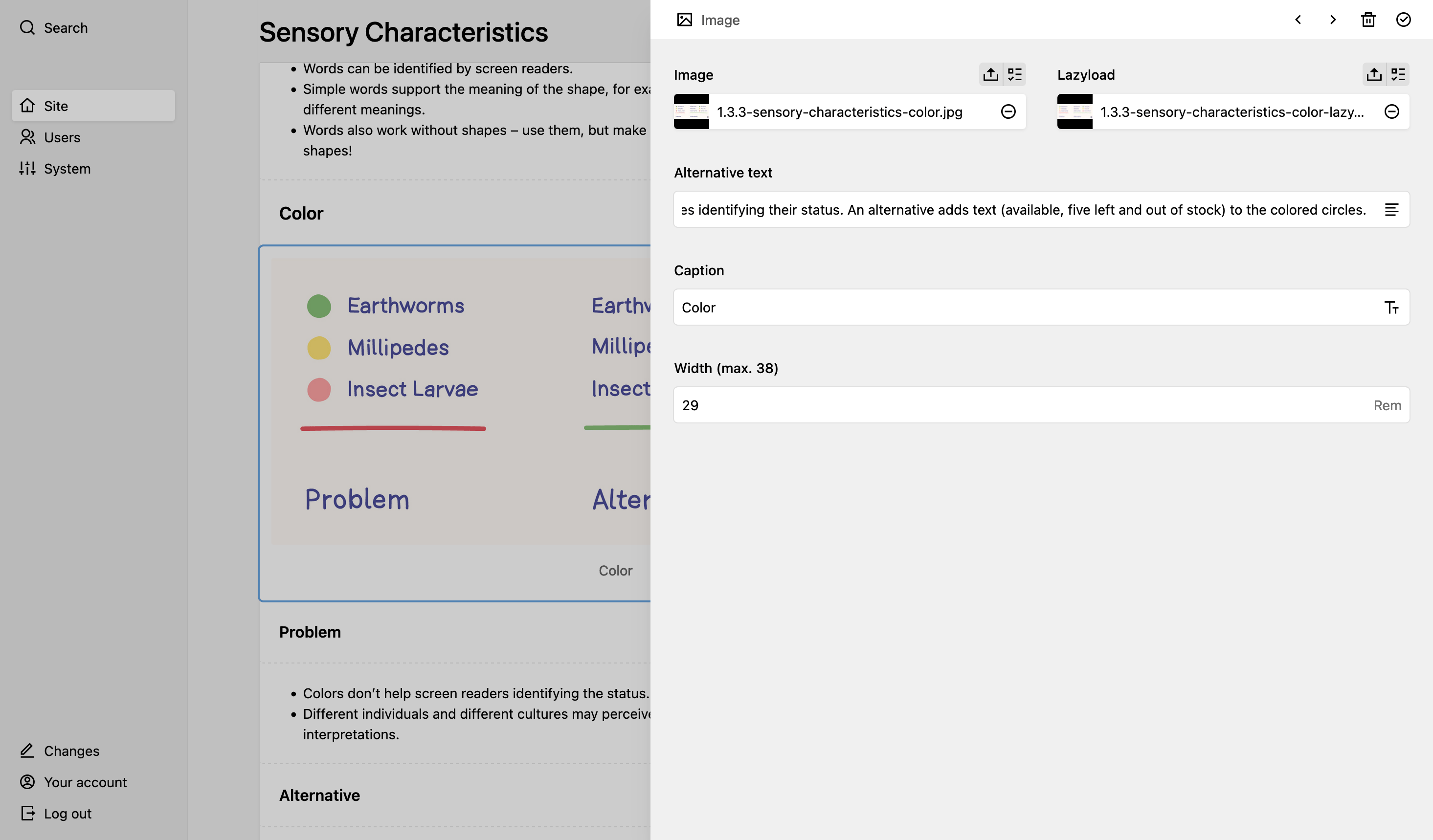Panel screenshot of access.kiwi