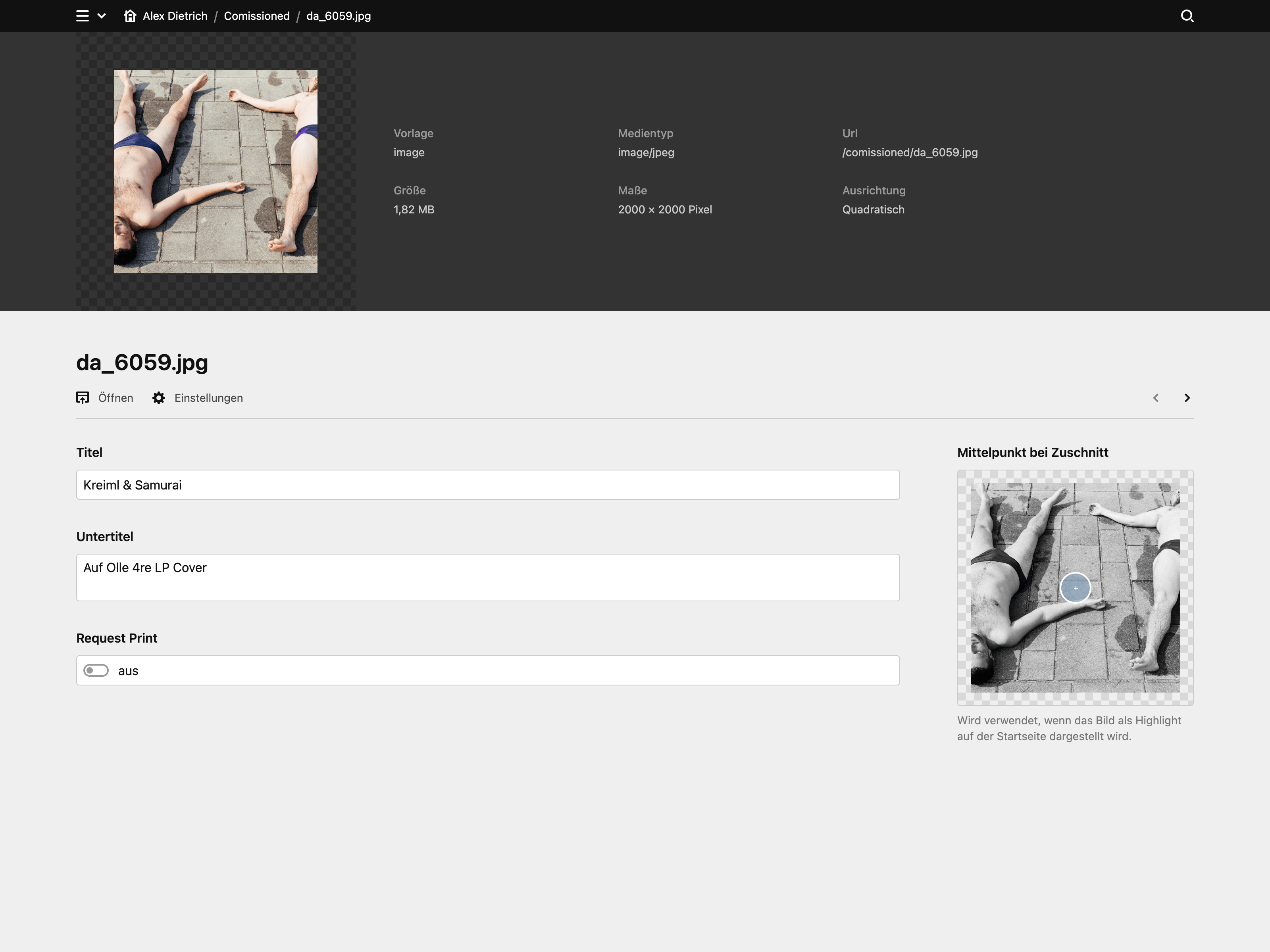 Panel screenshot of alexdietrich.at