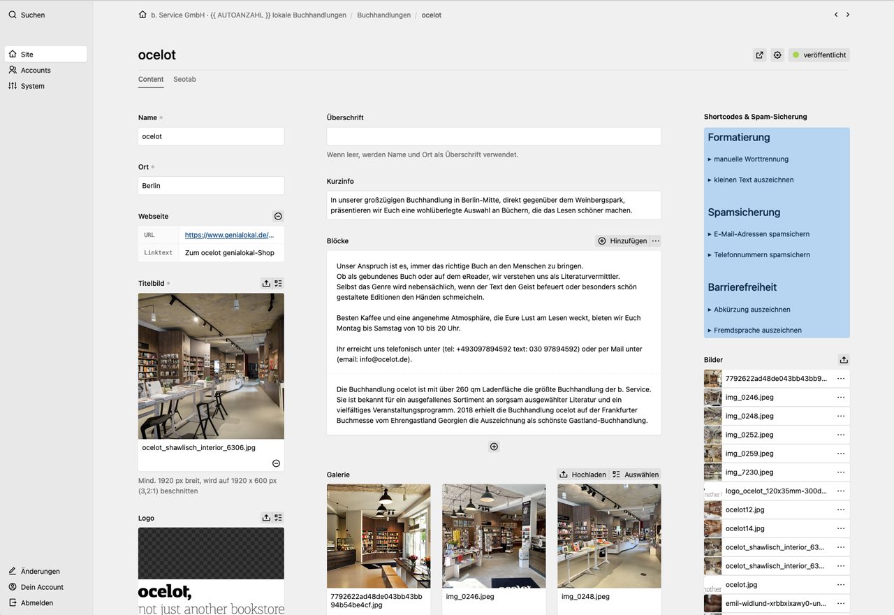Panel screenshot of bservice.gmbh