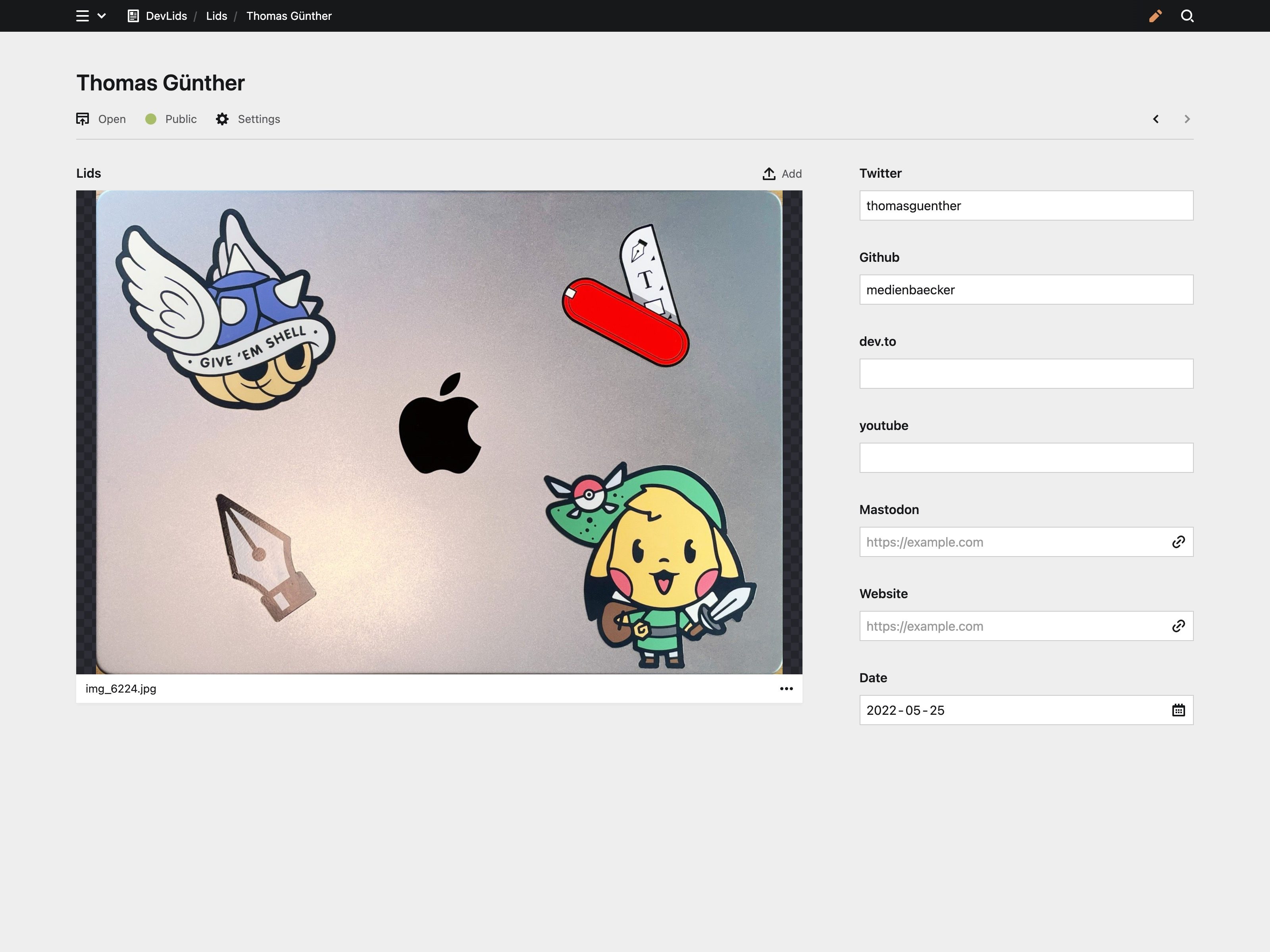 Panel screenshot of devlids.com