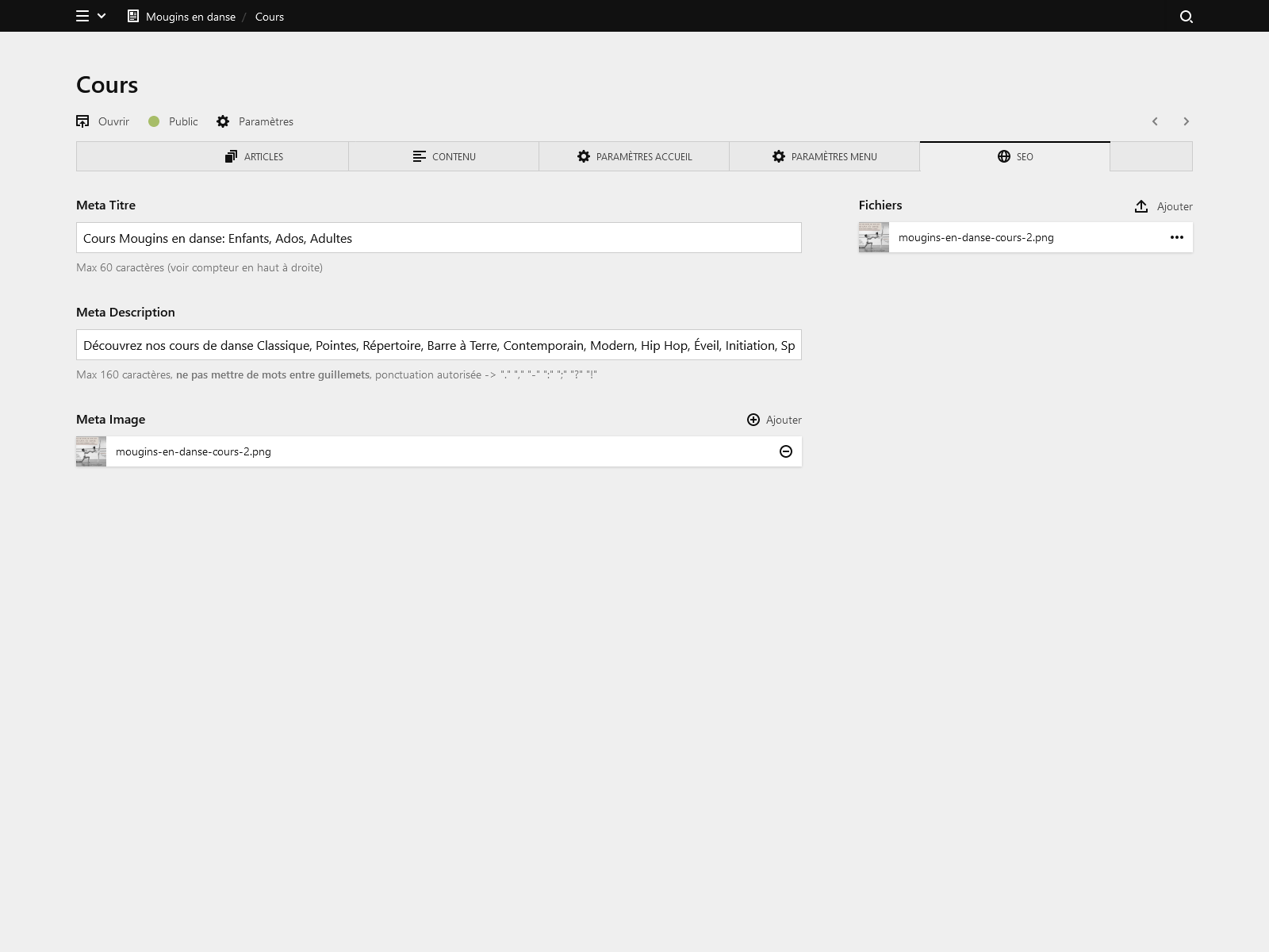Panel screenshot of mouginsendanse.fr