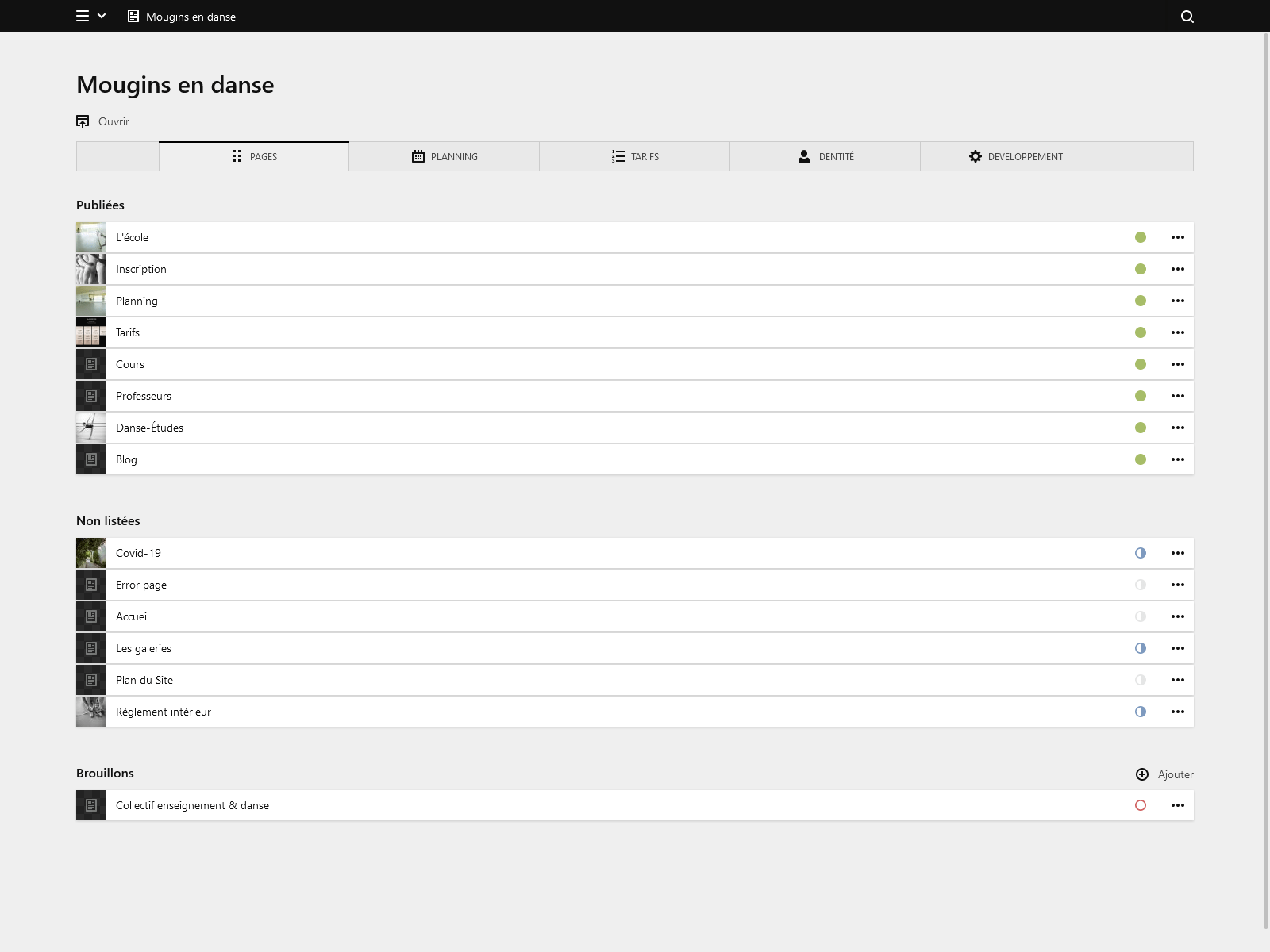 Panel screenshot of mouginsendanse.fr