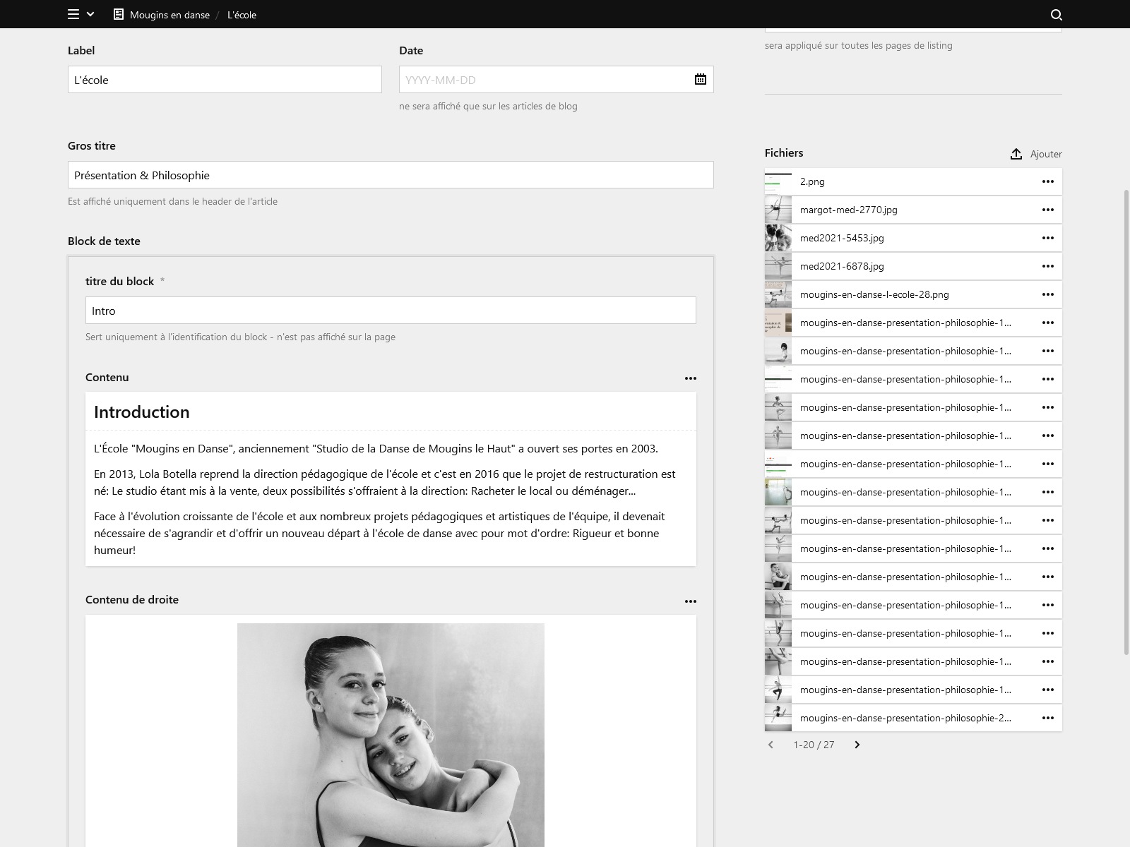 Panel screenshot of mouginsendanse.fr