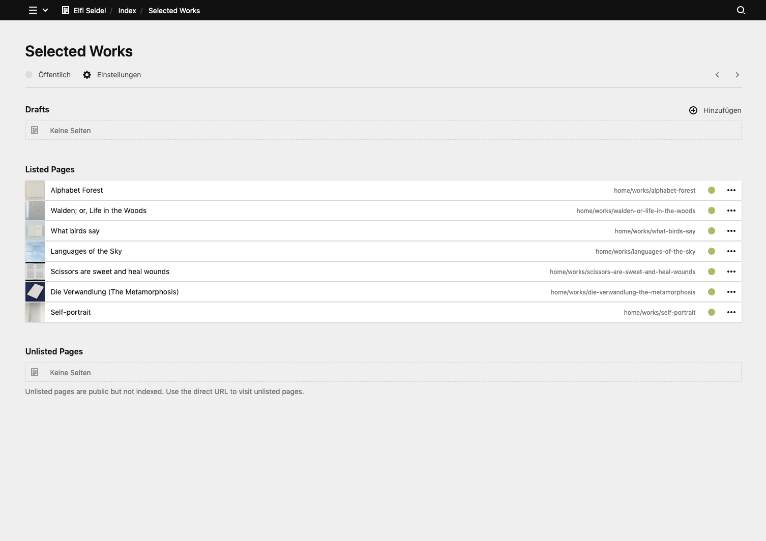 Panel screenshot of elfiseidel.com