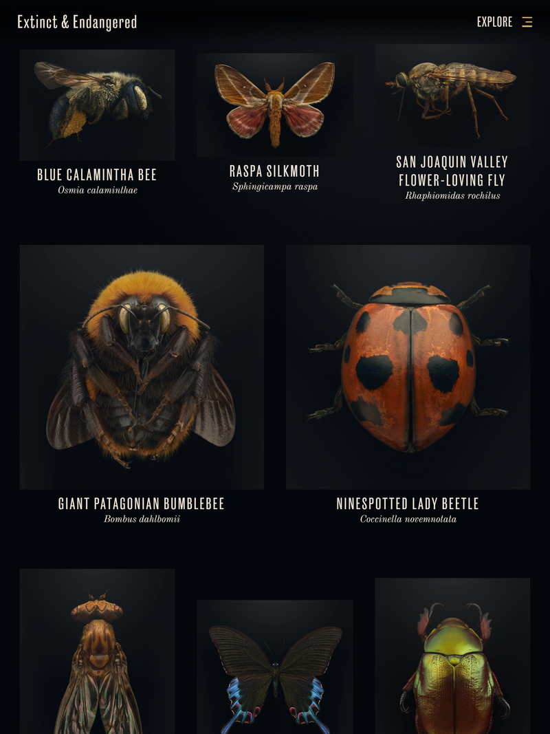 Screenshot of extinctandendangered.com