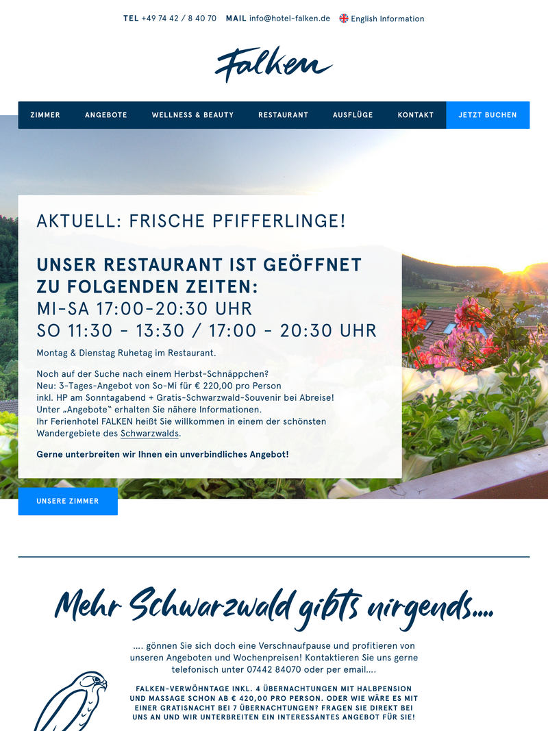 Screenshot of hotel-falken.de