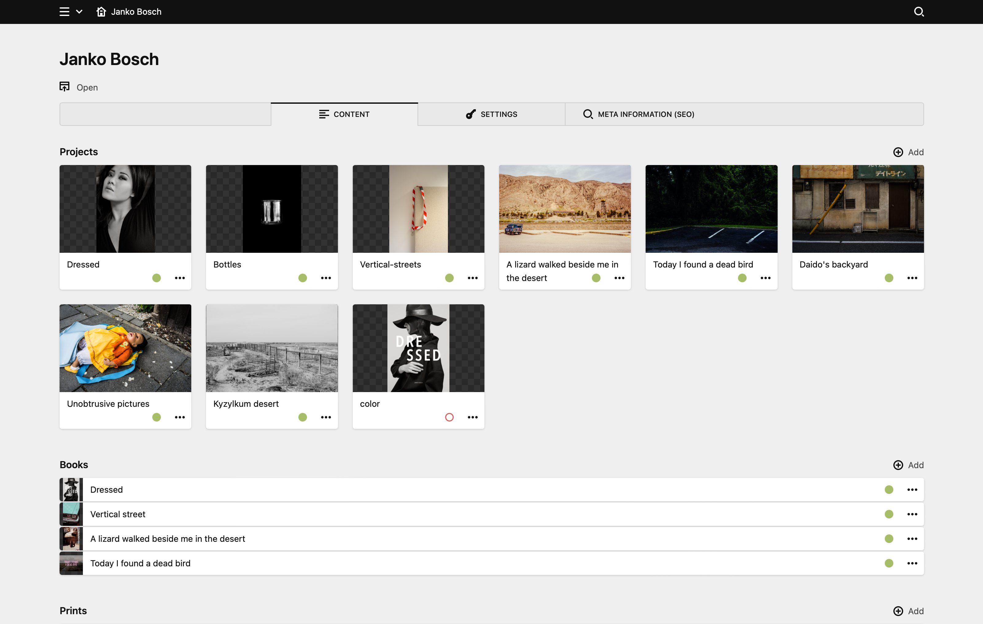 Panel screenshot of jankobosch.nl