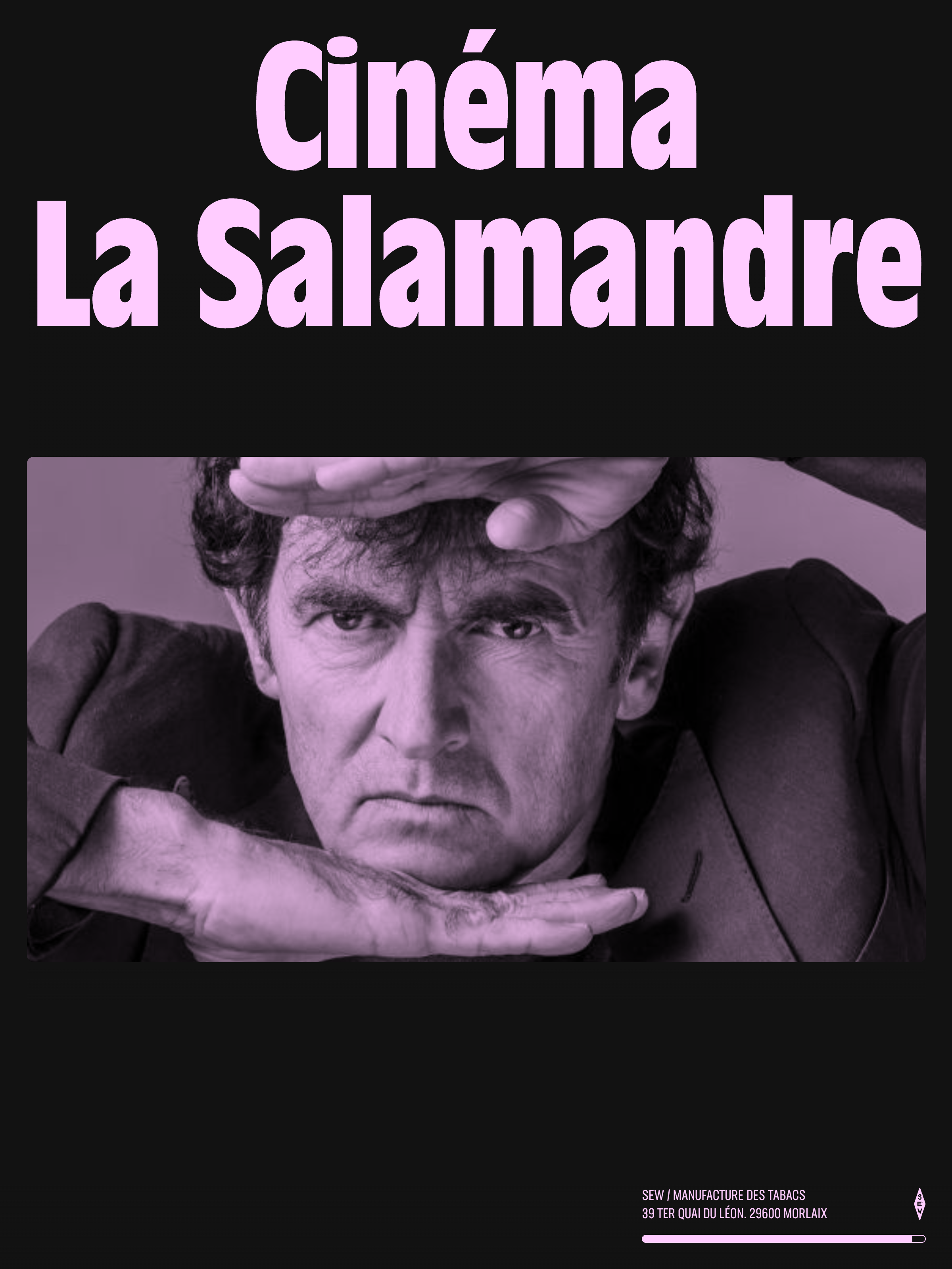 Screenshot of cinemalasalamandre.fr