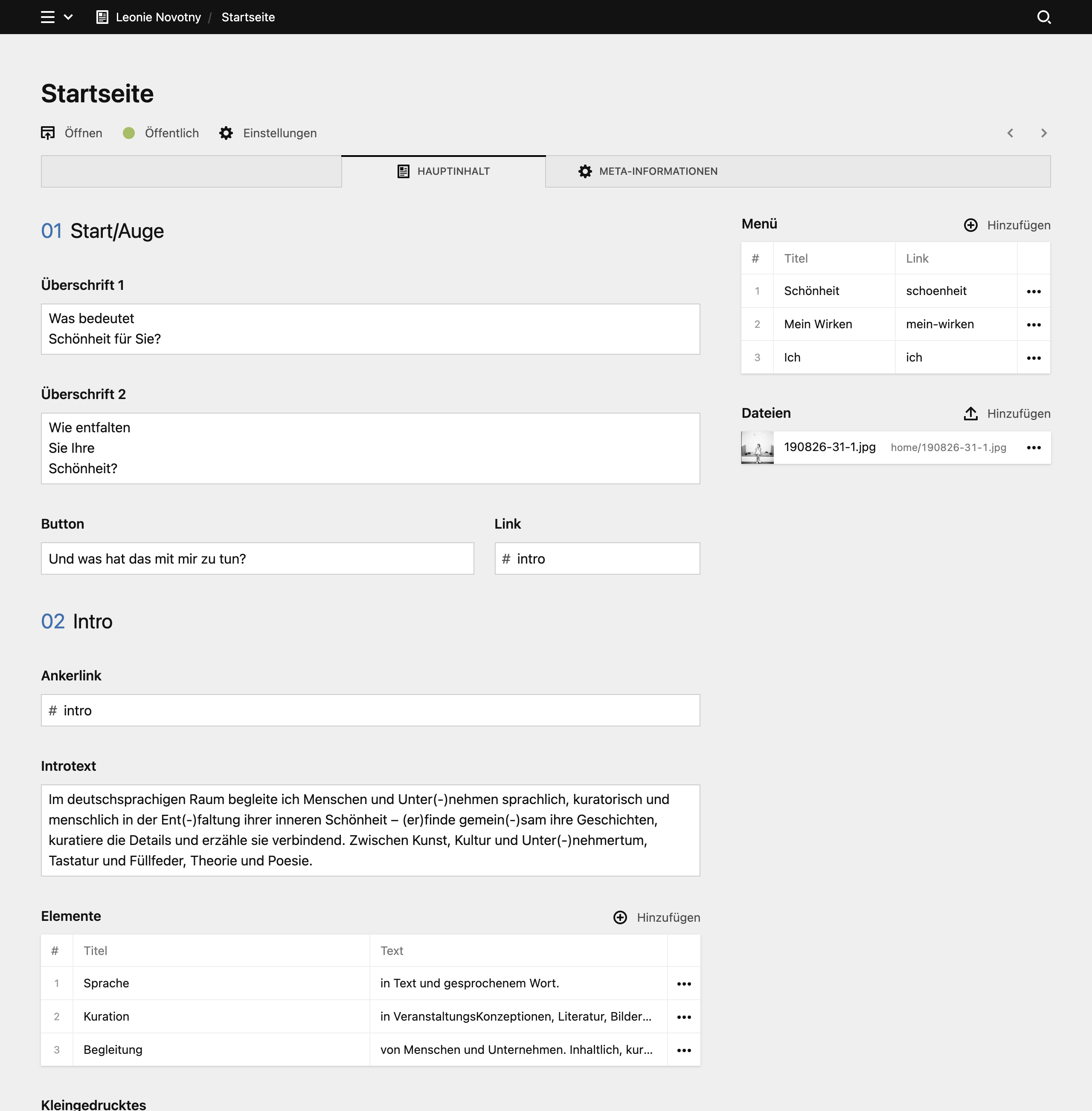 Panel screenshot of leonienovotny.com