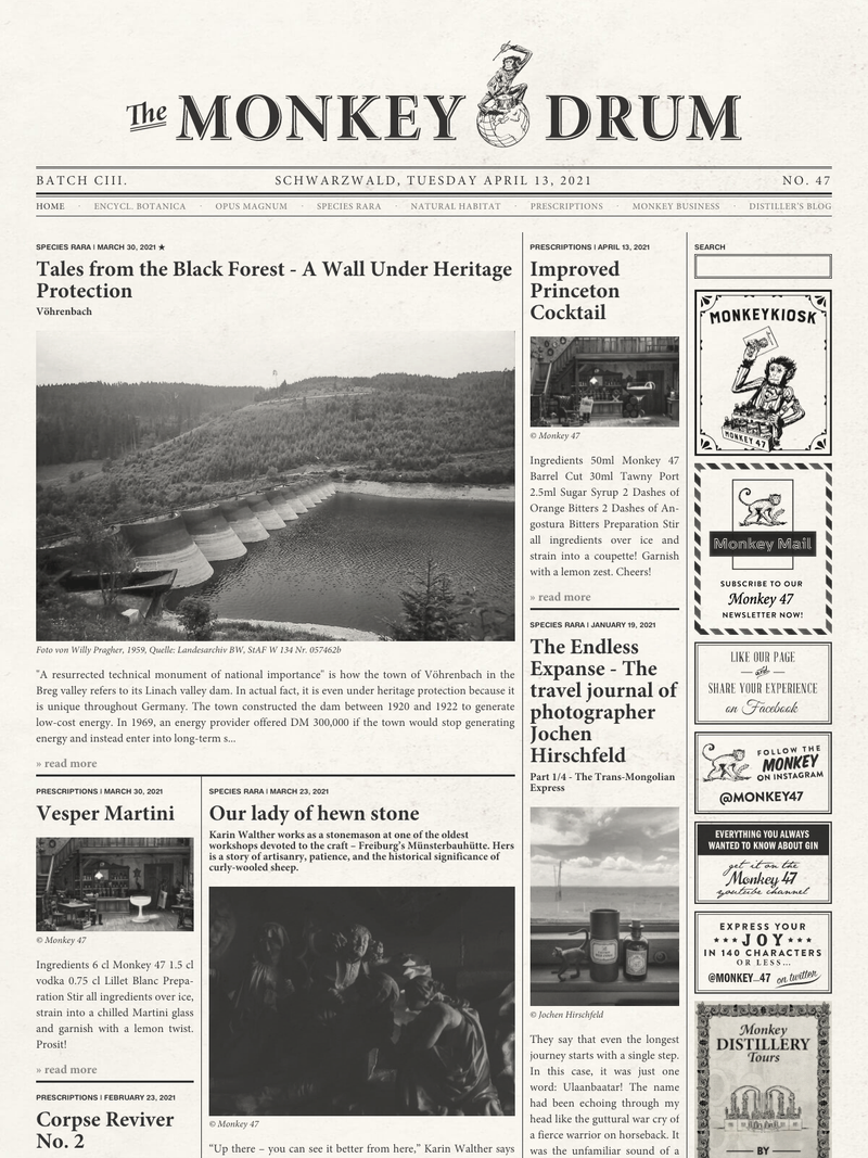 Screenshot of monkey47.com