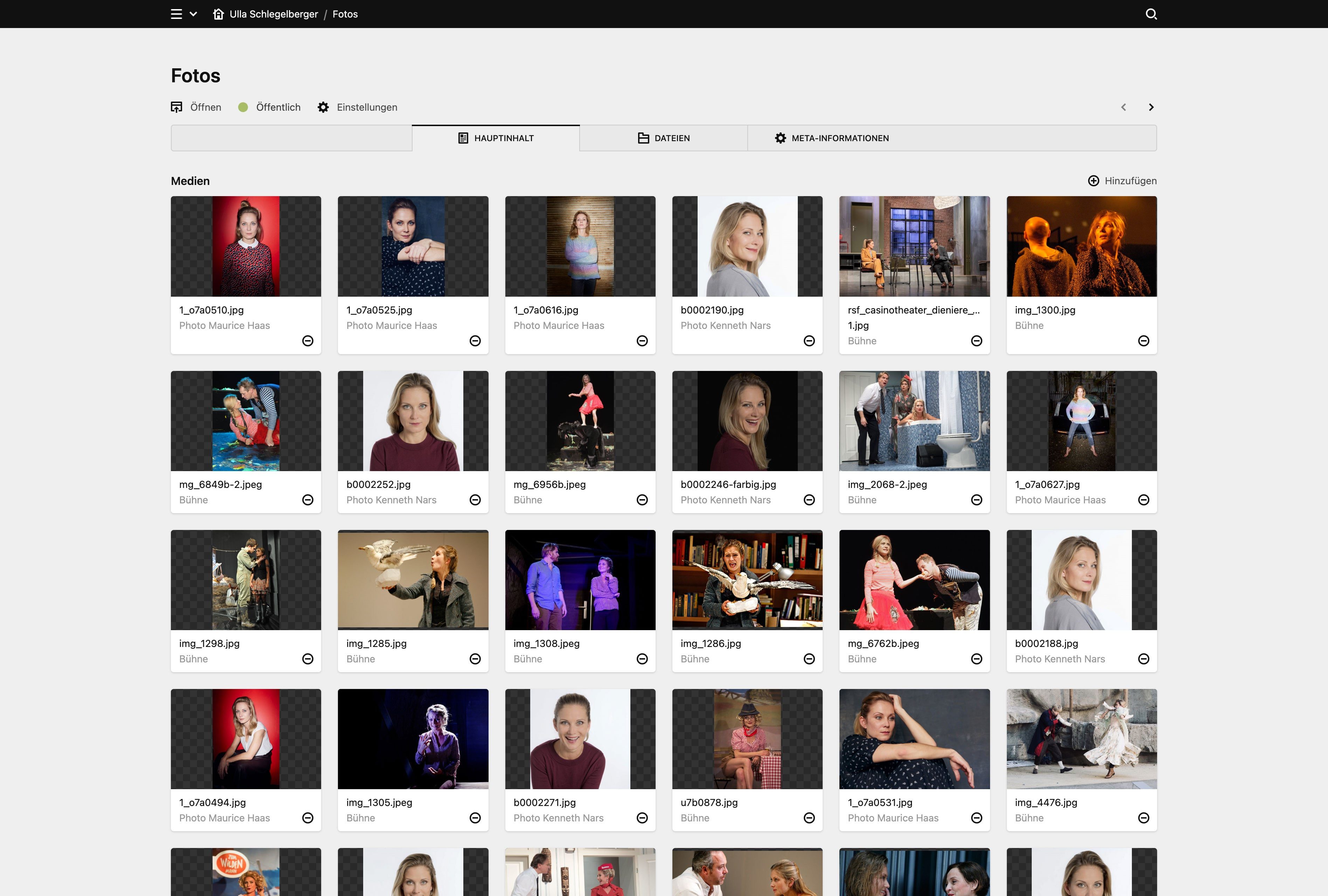 Panel screenshot of ulla-schlegelberger.ch