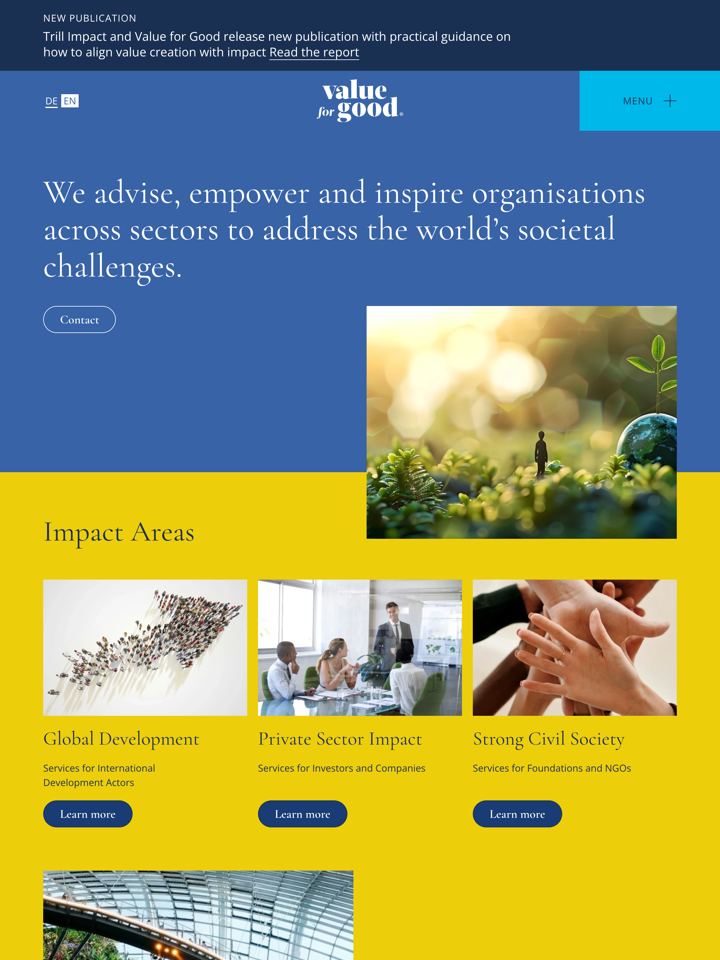 Screenshot of valueforgood.com