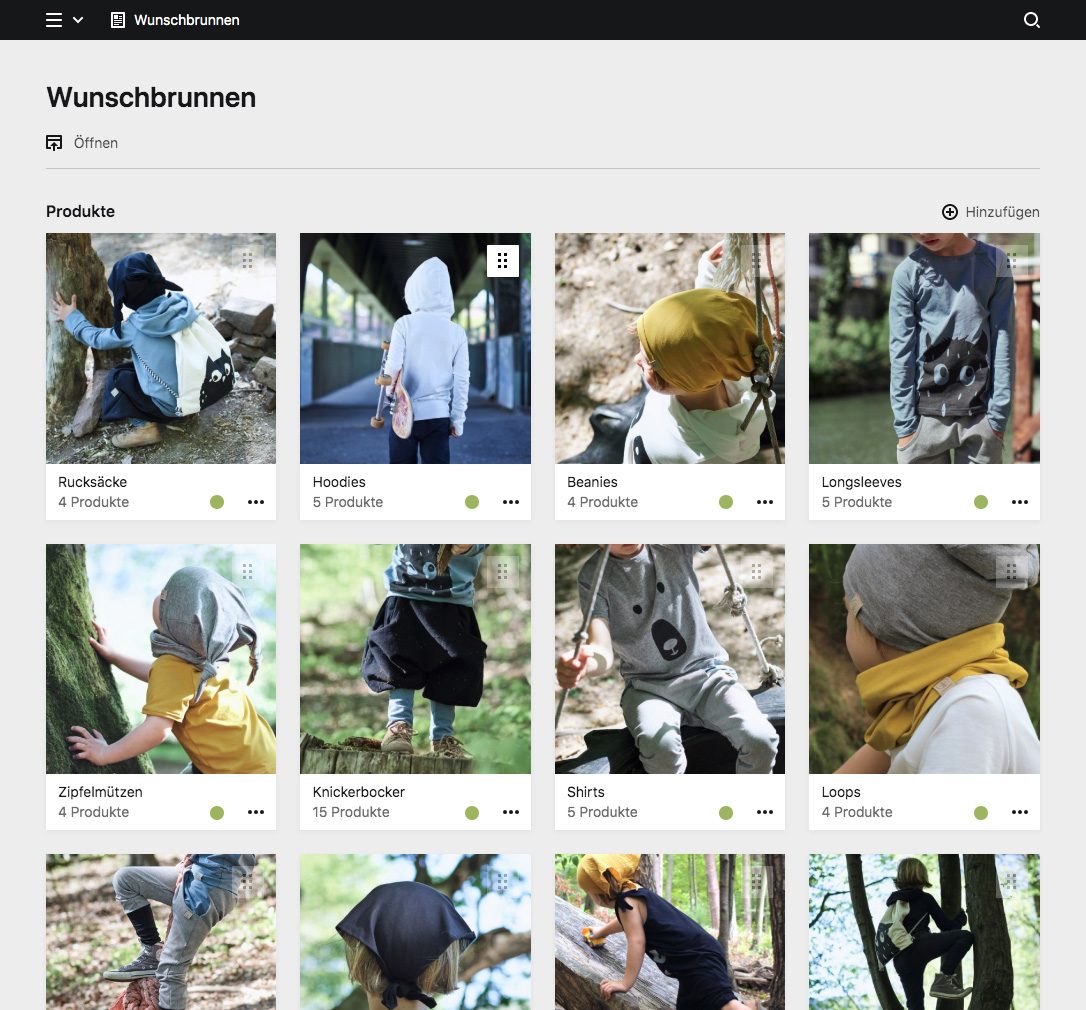 Panel screenshot of wunschbrunnen.org