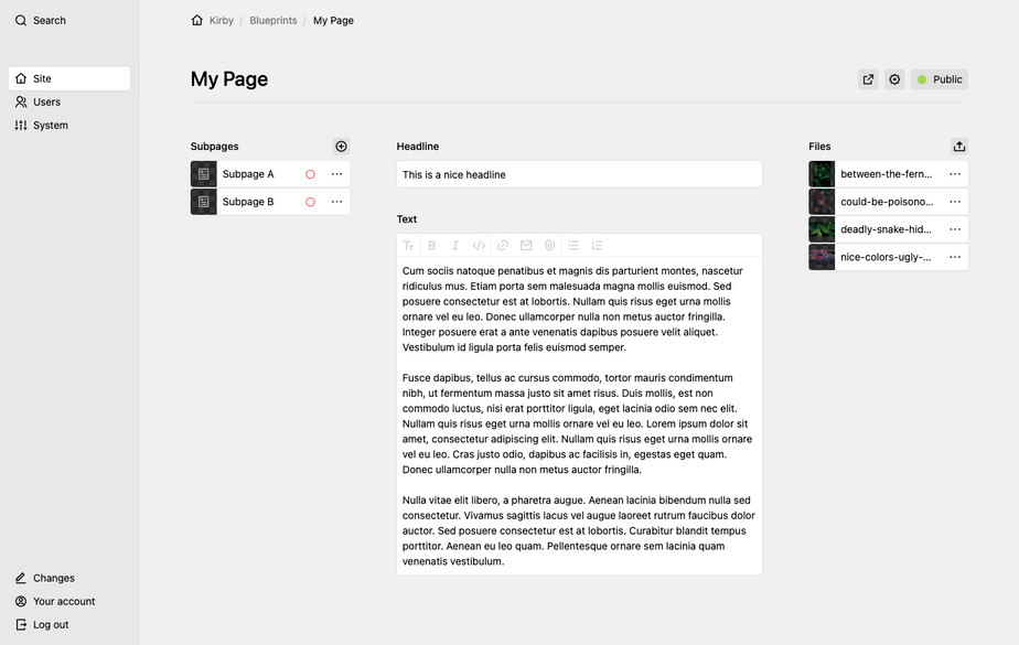 Three-column layout with sidebars on the right (pages section) and on the left (files section) and form fields in the middle.