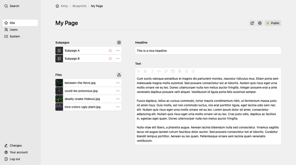 Two-column layout with sidebar on the left (pages and files sections) and form fields on the right.