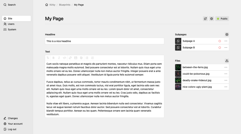 Two-column layout with sidebar on the right (pages and files sections) and form fields on the left.