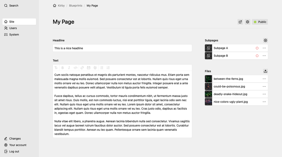 Two-column layout with sidebar on the right (pages and files sections) and form fields on the left.