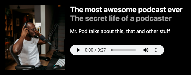 Preview of our amazing audio block in the Panel