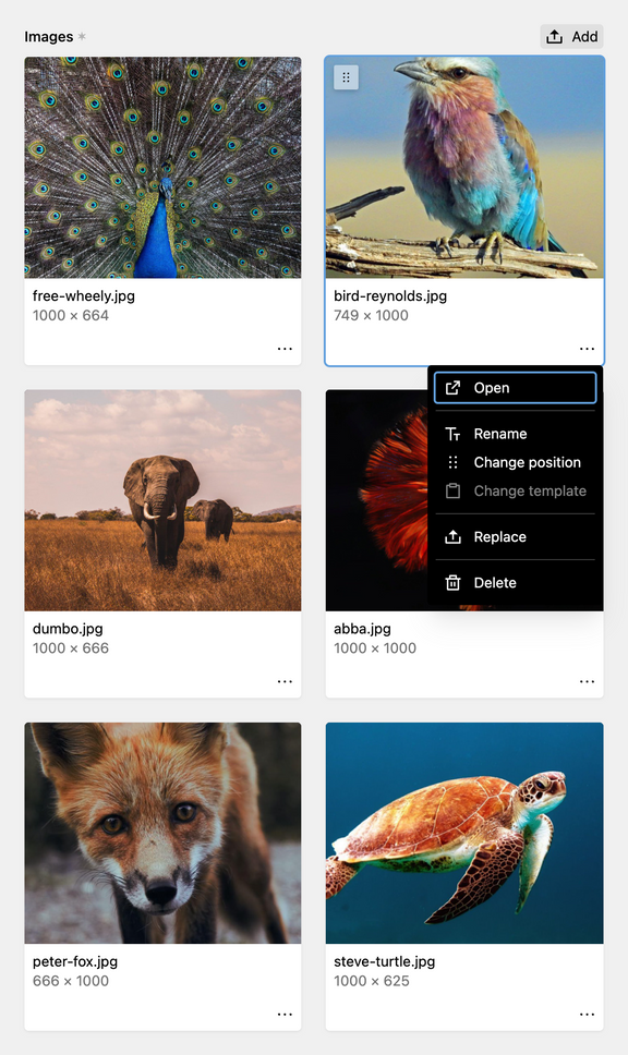 A screenshot of an image gallery in the Panel
