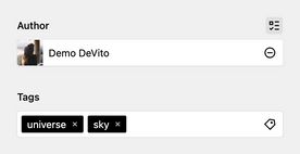 A screenshot of the users and tags fields