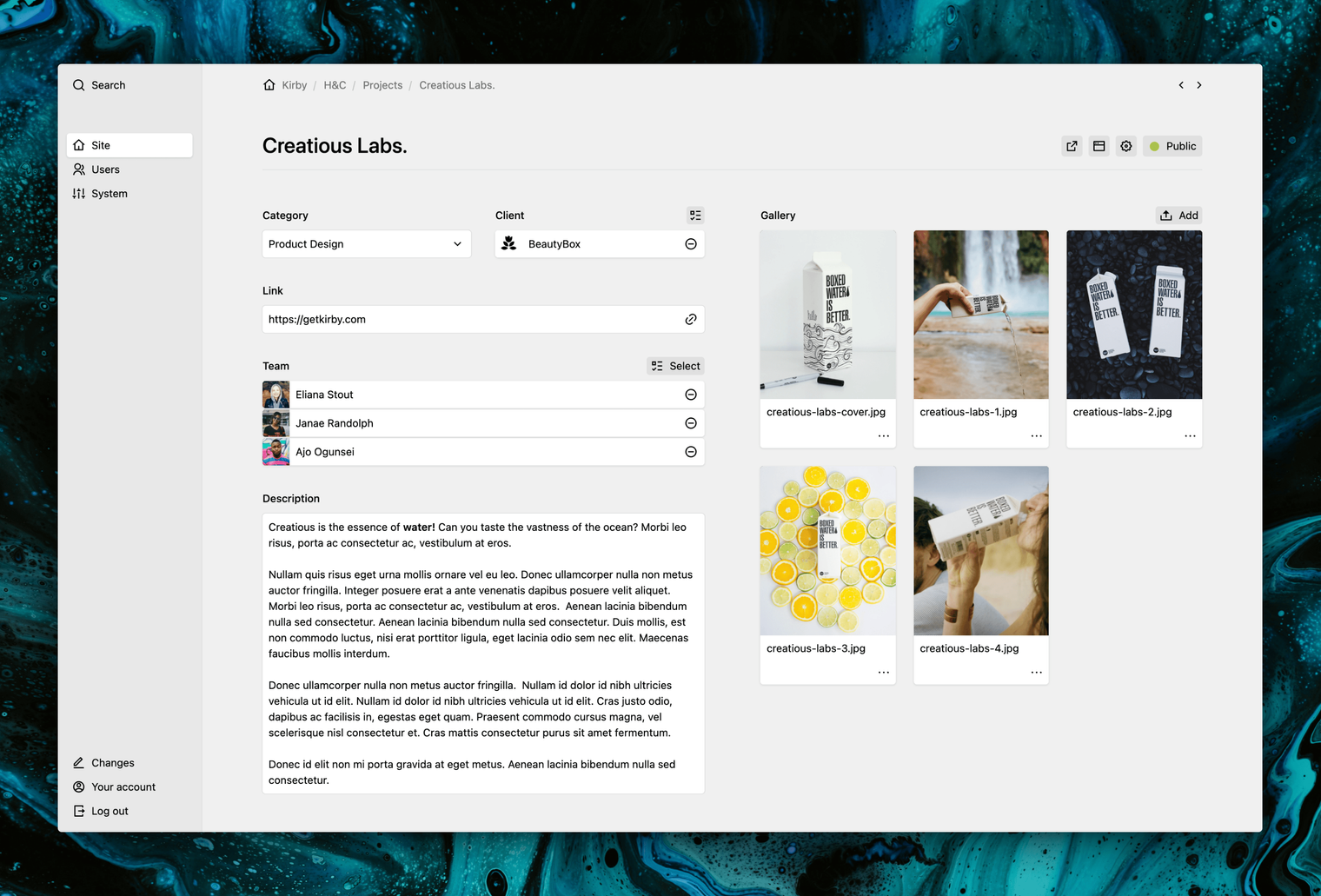 Panel screenshot for: Your projects