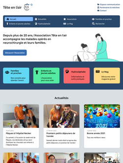 Screenshot of the T&ecirc;te en l'air website