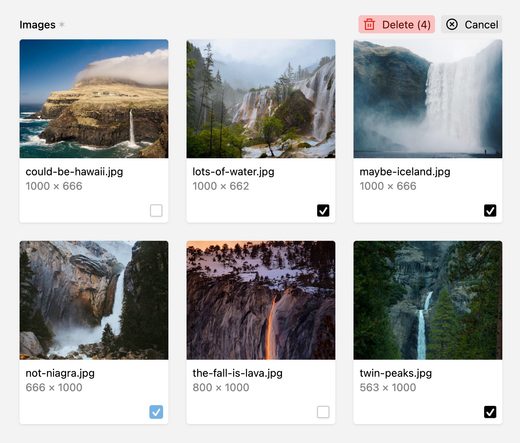 A screenshot of the fields section. Batch selection mode has been activated and multiple files are selected. A delete button at the top can delete all the selected files at once.