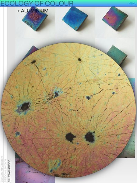 Screenshot of the ecologyofcolour.be website